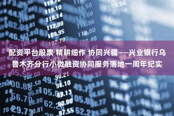 配资平台股票 精耕细作 协同兴疆——兴业银行乌鲁木齐分行小微融资协同服务落地一周年纪实